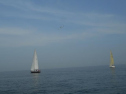 DSCN4184.jpg