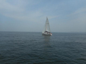 DSCN4228.jpg