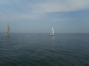 DSCN4247.jpg