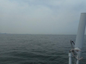DSCN4268.jpg