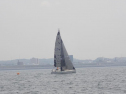 P5140008.jpg