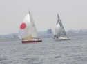 P5140020.jpg