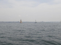 P5140030.jpg