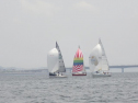 P5140042.jpg