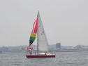 P5140048.jpg