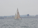 P5140050.jpg