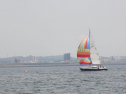 P5140057.jpg