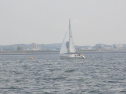 P5140060.jpg