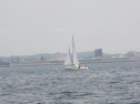 P5140064.jpg