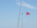 RIMG1527.jpg