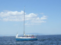 RIMG1539.jpg