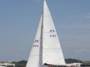 RIMG1556.jpg