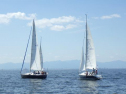 RIMG1560.jpg