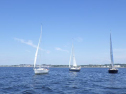 RIMG1564.jpg