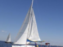 RIMG1567.jpg