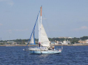 RIMG1569.jpg