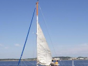 RIMG1570.jpg