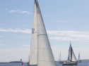 RIMG1572.jpg