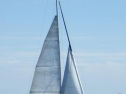 RIMG1573.jpg