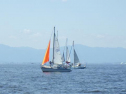 RIMG1576.jpg