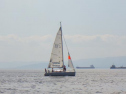 RIMG1577.jpg