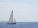 RIMG1578.jpg