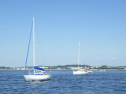 RIMG1590.jpg