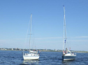 RIMG1594.jpg