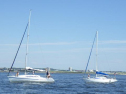 RIMG1596.jpg