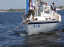 RIMG1598.jpg