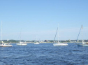 RIMG1625.jpg