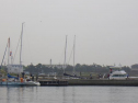 RIMG0990.jpg
