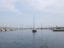 RIMG0991.jpg
