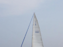 RIMG0994.jpg