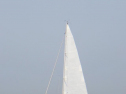 RIMG1004.jpg