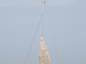 RIMG1005.jpg