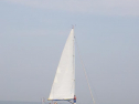RIMG1008.jpg