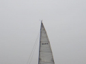 RIMG1009.jpg