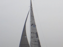 RIMG1029.jpg