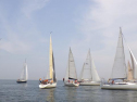 RIMG1037.jpg