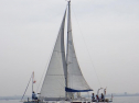 RIMG1039.jpg