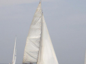 RIMG1049.jpg