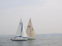 RIMG1056.jpg