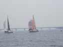 RIMG1065.jpg