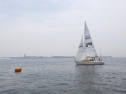 RIMG1067.jpg