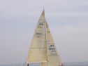 RIMG1082.jpg