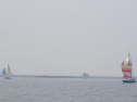 RIMG1087.jpg