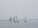 RIMG1088.jpg