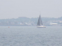 RIMG1089.jpg