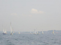RIMG1096.jpg